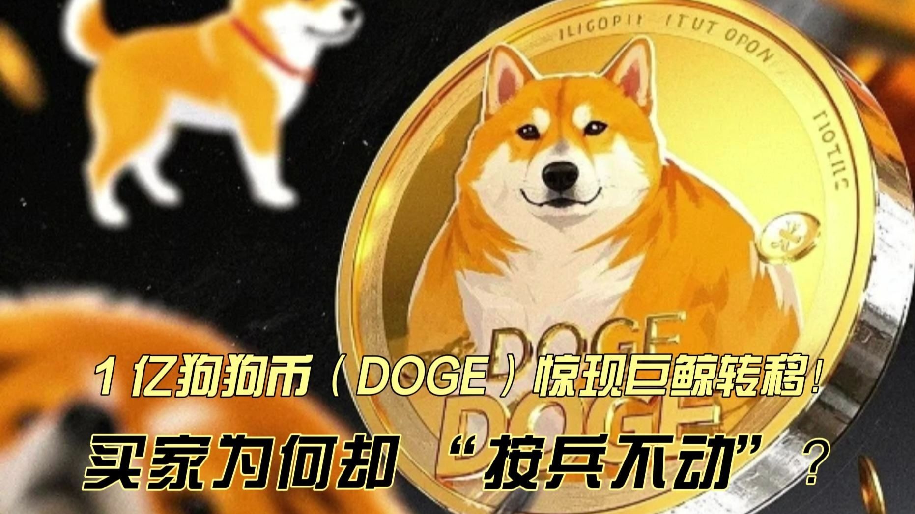 狗狗币空投即将开始，参与用户将获Coinbase枚代币，引发热议
