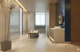 费耶诺德vs国际米兰